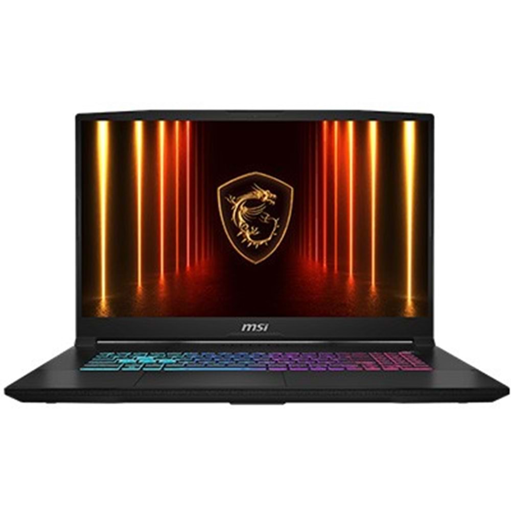 MSI 17.3