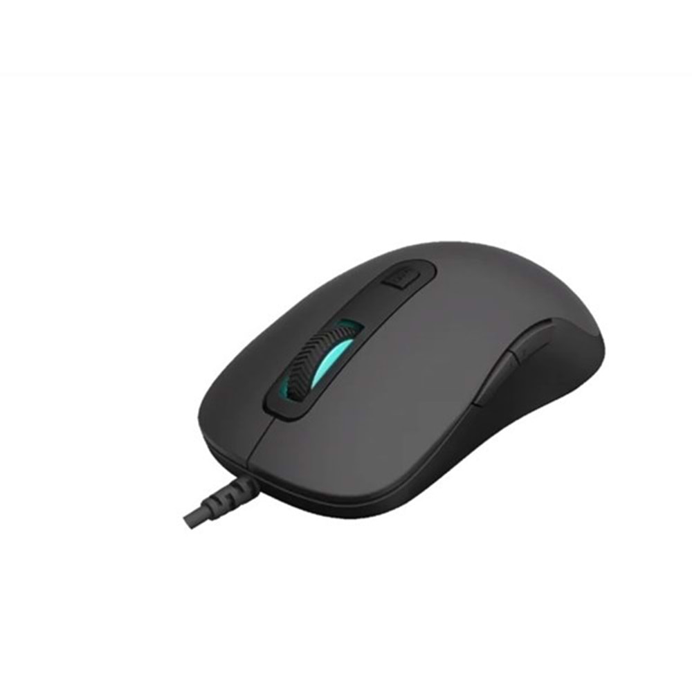 RAPOO V16RGB Kablolu 200-12800 RGB Ledli Siyah Mouse 11928