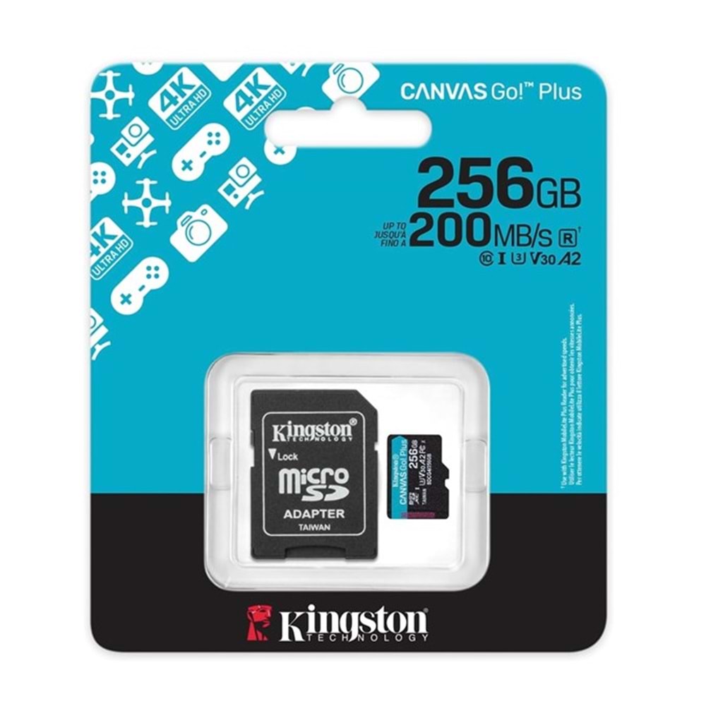 KINGSTON 256GB Micro SD Kart CANVAS GO+ SDCG4/256GB