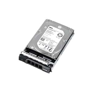 DELL 3,5 4tb 7.2K SAS Sunucu Disk