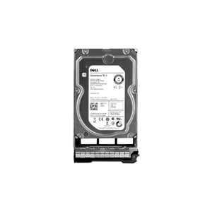 DELL 3,5 4tb 7.2K SAS Sunucu Disk