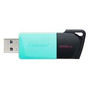 KINGSTON 256gb USB 3.2 Usb Bellek Exodia DTXM/256GB