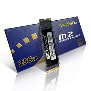 TWINMOS 256GB NGFFEGBM2280 580- 550MB/s M2 Sata Disk