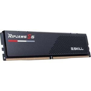 GSKILL 24GB DDR5 5200MHZ CL40 PC RAM RIPJAWS F5-5200J4040A24GX1-RS5K
