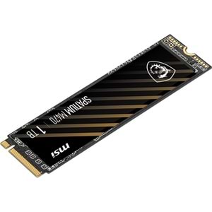MSI 1TB SPATIUM M470 PRO 6000- 4500MB/s M2 NVME GEN4 DİSK