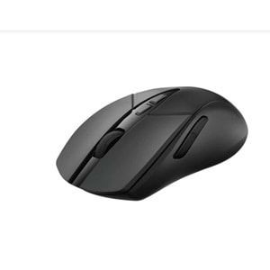 RAPOO V300SE Kablolu/Kablosuz 400-12000 Siyah Mouse 12401