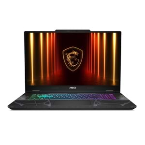 MSI 17.3