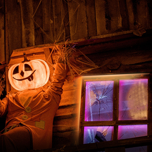 TP-LINK Tapo L920-5 Renkli Led Şerit