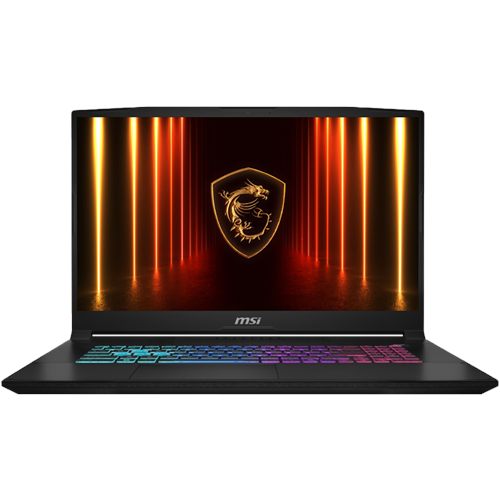 MSI 17.3