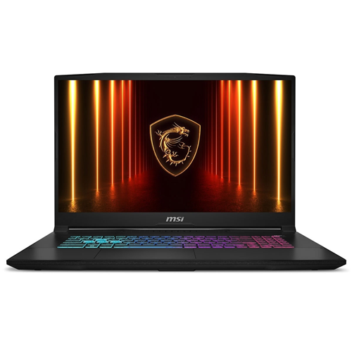 MSI 17.3