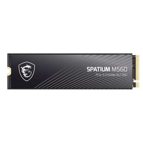 MSI 500GB SPATIUM M450 3000- 2000MB/s M2 NVME GEN4 Disk