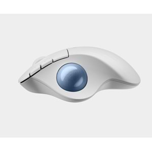LOGITECH M575S Ergo Kablosuz Siyah Mouse (910-007029)