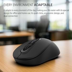 INCA IWM-288T Kablosuz Siyah Mouse